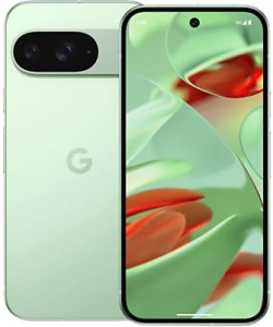 Google Pixel 9 256 GB Wintergroen